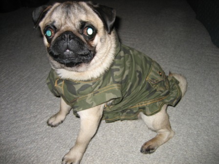Diva camodress1.JPG