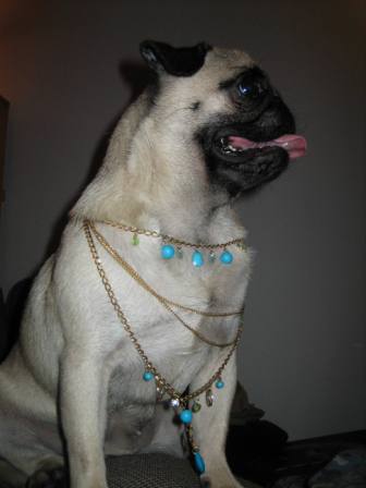 Diva blingtastic3.JPG