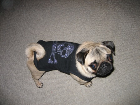 Diva badassbling.JPG