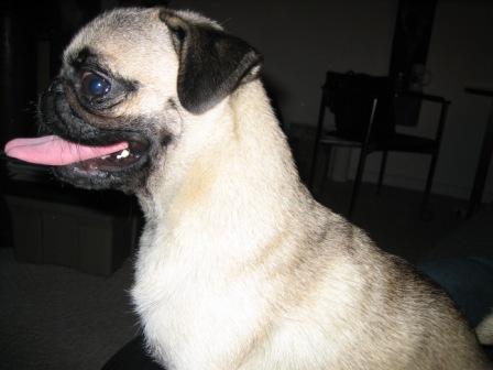 IMG 0015 small.JPG