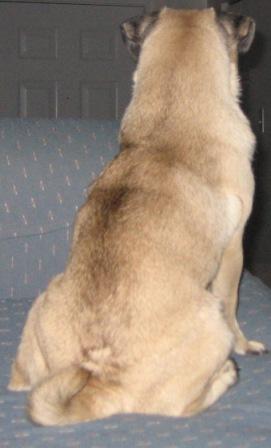 IMG 0019a small.JPG