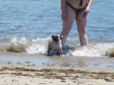 Diva birthdaysplash1.JPG