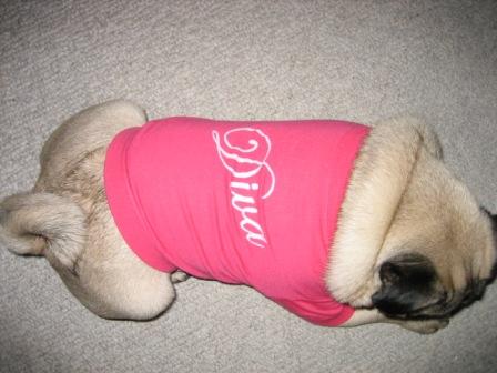 Diva-Diva 2.JPG