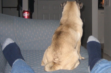 IMG 0019b small.JPG