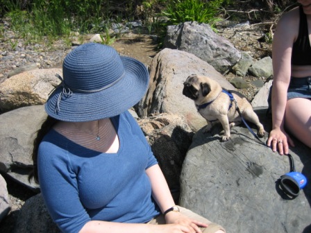 Diva staring.JPG