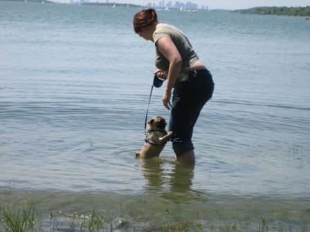 Diva notswimming.JPG