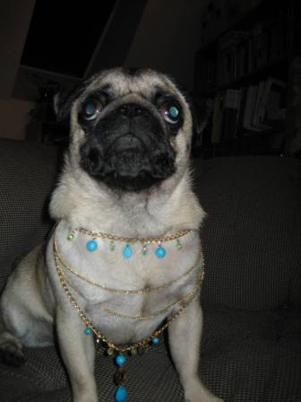 Diva blingtastic1.JPG