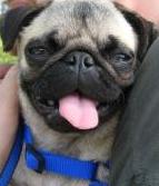 IMG 0021 small.jpg