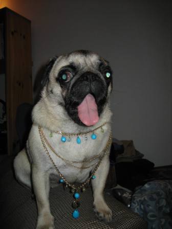 Diva blingtastic2.JPG