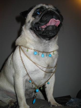 Diva blingtastic4.JPG