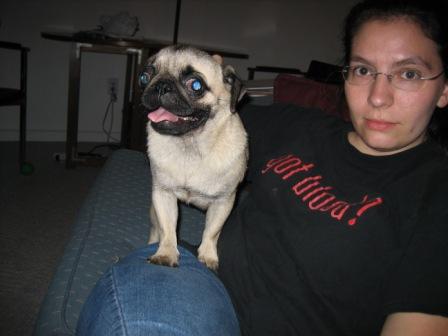 IMG 0013 small.JPG