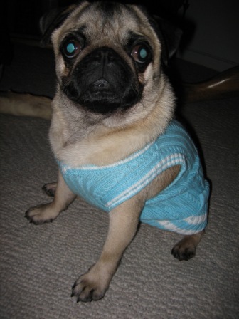 Diva preppy.JPG