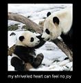 Panda kid jpeg.JPG