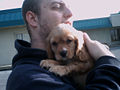Thumbnail for version as of 12:13, 11 July 2008