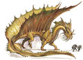 Gold-dragon.jpg