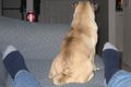 IMG 0019b small.JPG