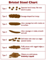 460px-Bristol Stool Chart.png
