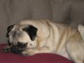 Diva pillow1.JPG